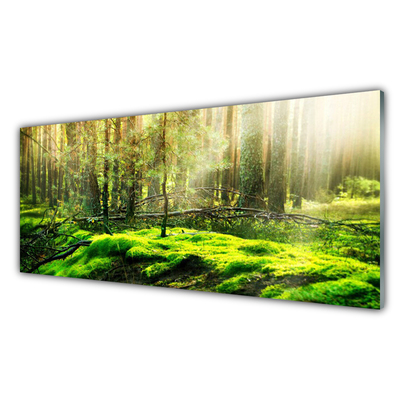 Glas billede Moss Forest Nature