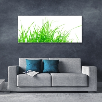 Billede i glas Grass Plant