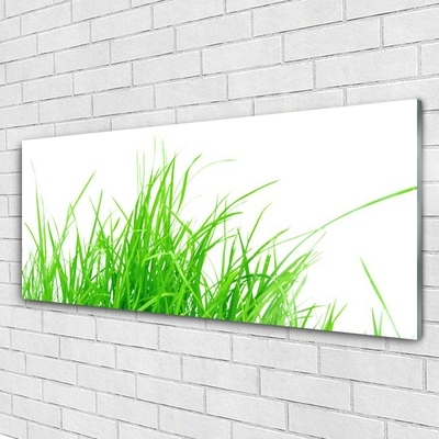 Billede i glas Grass Plant