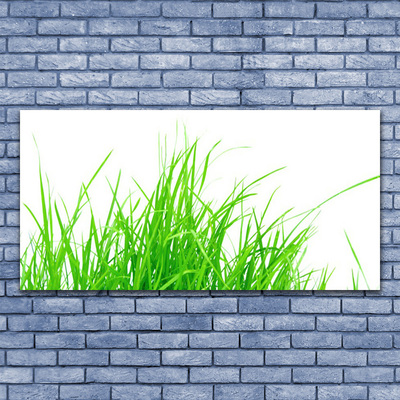 Billede i glas Grass Plant