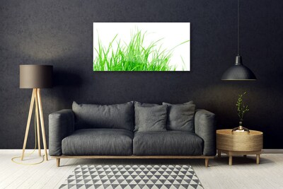 Billede i glas Grass Plant