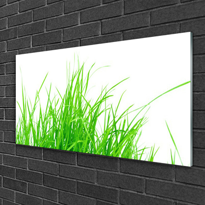 Billede i glas Grass Plant