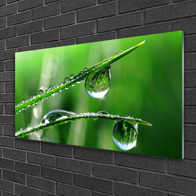 Glasfoto Grass Rose Drops