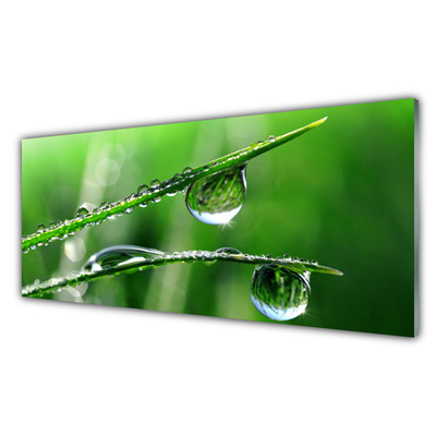 Glasfoto Grass Rose Drops