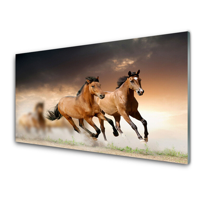 Glas billede Horses Animals