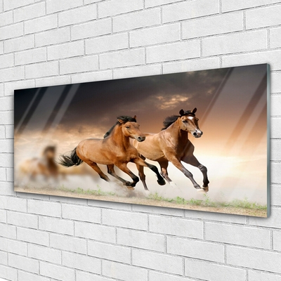 Glas billede Horses Animals