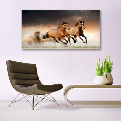 Glas billede Horses Animals