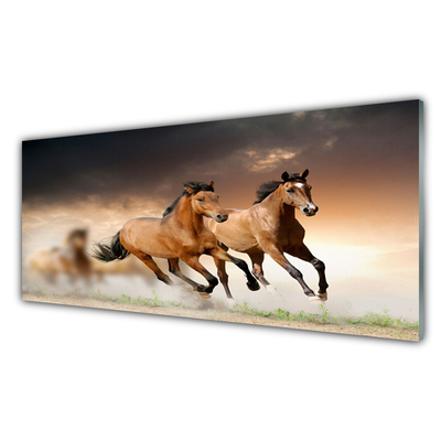 Glas billede Horses Animals