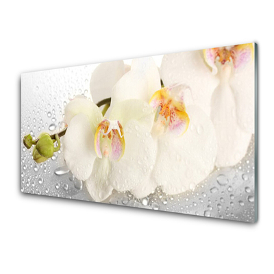 Billede i glas Wall Flowers