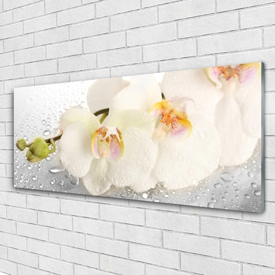 Billede i glas Wall Flowers