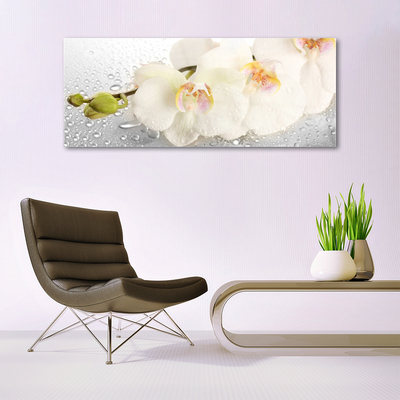 Billede i glas Wall Flowers