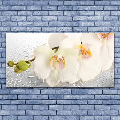 Billede i glas Wall Flowers