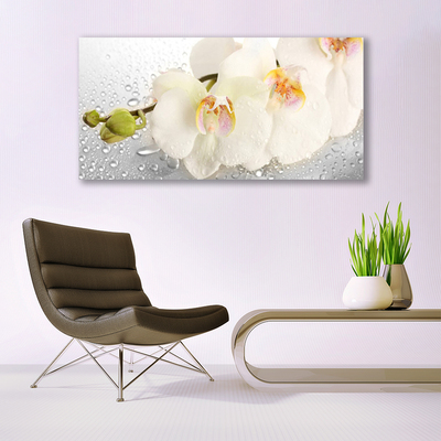 Billede i glas Wall Flowers