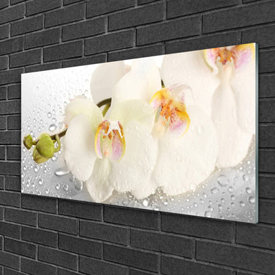 Billede i glas Wall Flowers