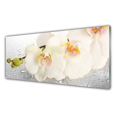 Billede i glas Wall Flowers