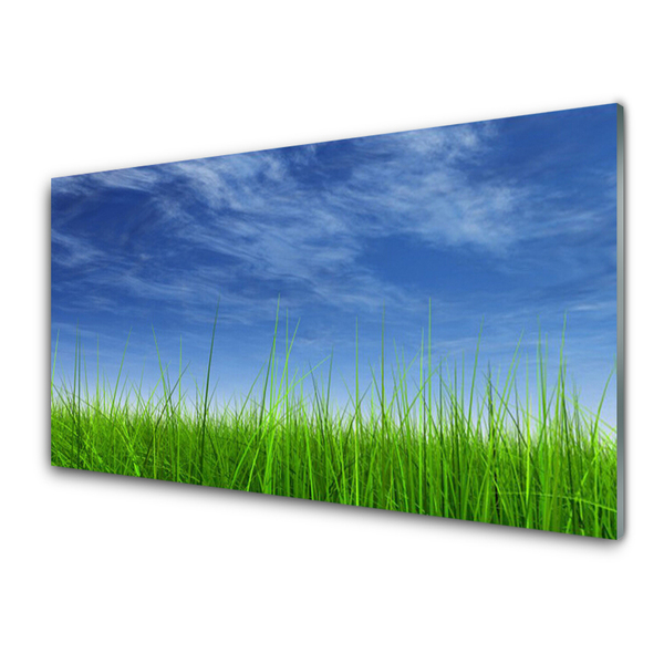 Billede i glas Sky Grass Nature Plant