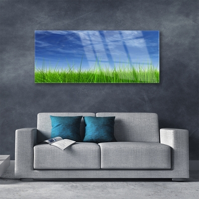 Billede i glas Sky Grass Nature Plant