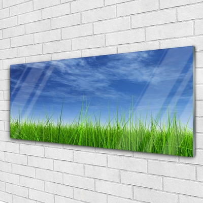 Billede i glas Sky Grass Nature Plant