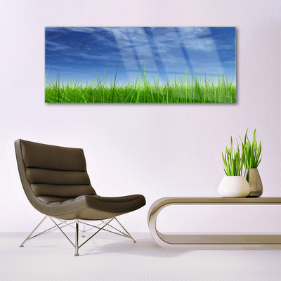 Billede i glas Sky Grass Nature Plant