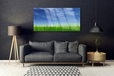 Billede i glas Sky Grass Nature Plant