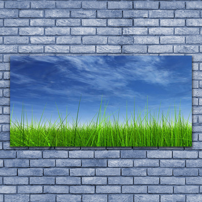 Billede i glas Sky Grass Nature Plant