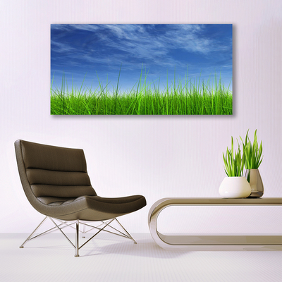 Billede i glas Sky Grass Nature Plant