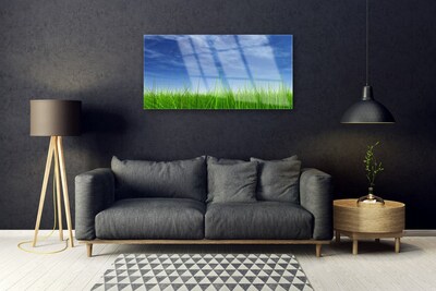 Billede i glas Sky Grass Nature Plant