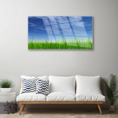 Billede i glas Sky Grass Nature Plant