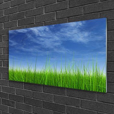 Billede i glas Sky Grass Nature Plant