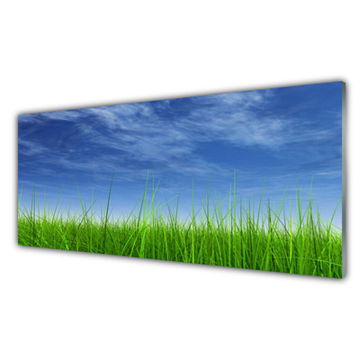 Billede i glas Sky Grass Nature Plant