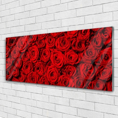 Billede glas Wall Roses