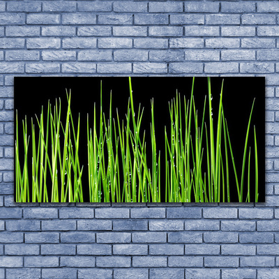 Billede på glas Grass Plant