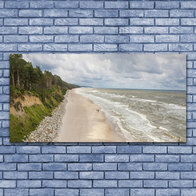 Glas billede Strand Hav Træ Natur