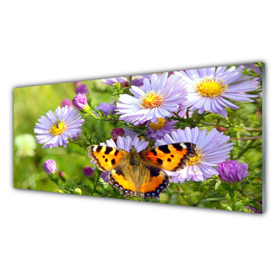 Glas billede Blomster Sommerfugl Plante Natur