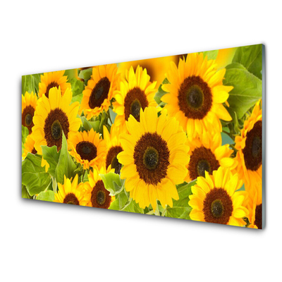 Billede glas Plant Sunflowers