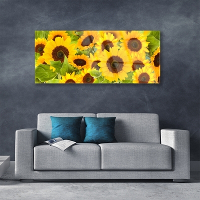 Billede glas Plant Sunflowers