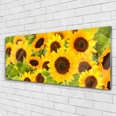 Billede glas Plant Sunflowers