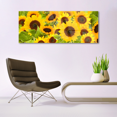 Billede glas Plant Sunflowers