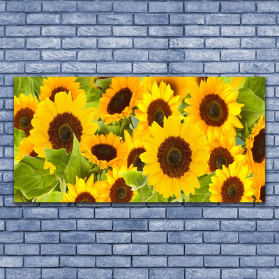 Billede glas Plant Sunflowers