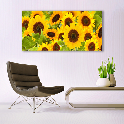 Billede glas Plant Sunflowers