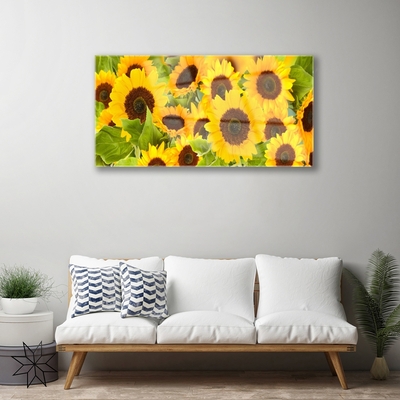 Billede glas Plant Sunflowers