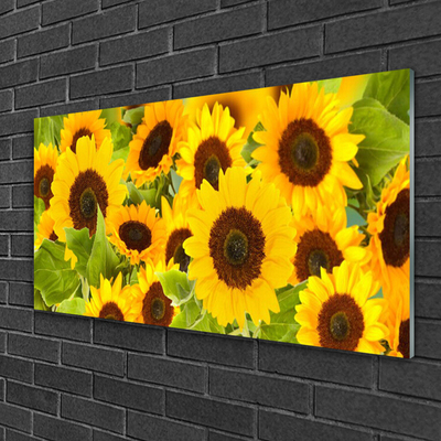 Billede glas Plant Sunflowers