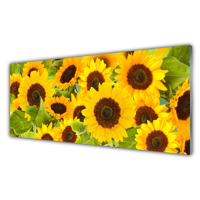 Billede glas Plant Sunflowers