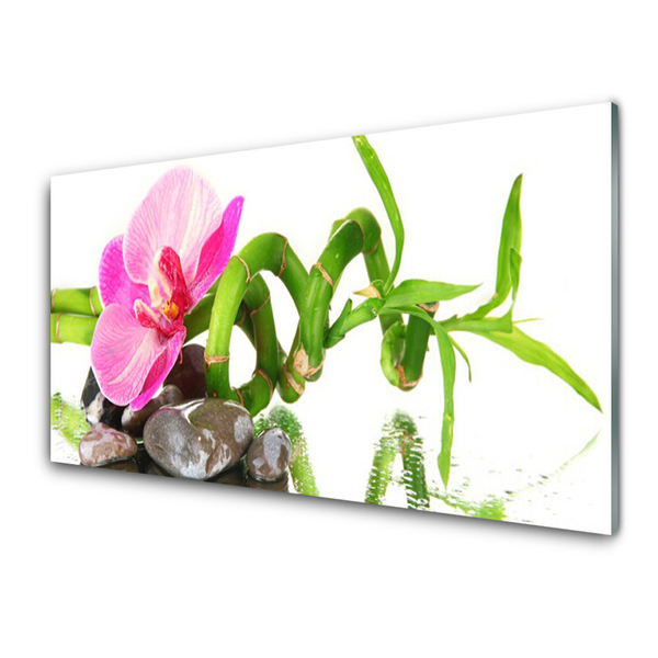 Glas billede Flower Plant Nature