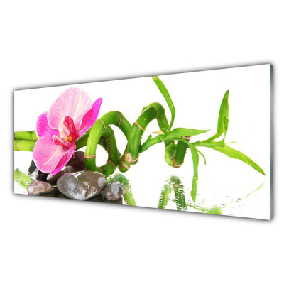 Glas billede Flower Plant Nature