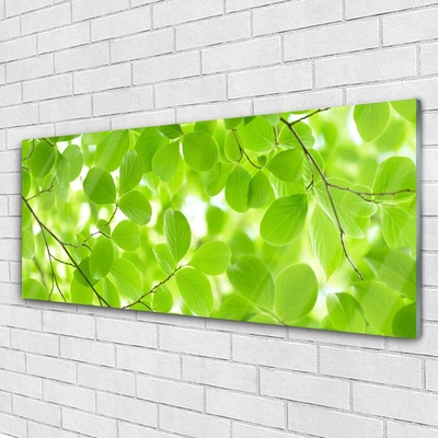 Billede i glas Foliage Nature