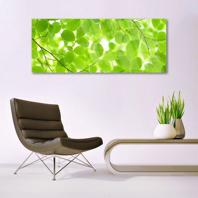 Billede i glas Foliage Nature