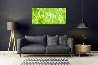 Billede i glas Foliage Nature