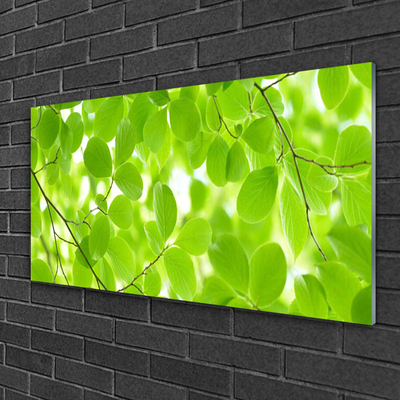 Billede i glas Foliage Nature