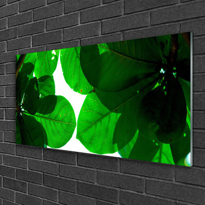 Billede på glas Leaves Wall Art